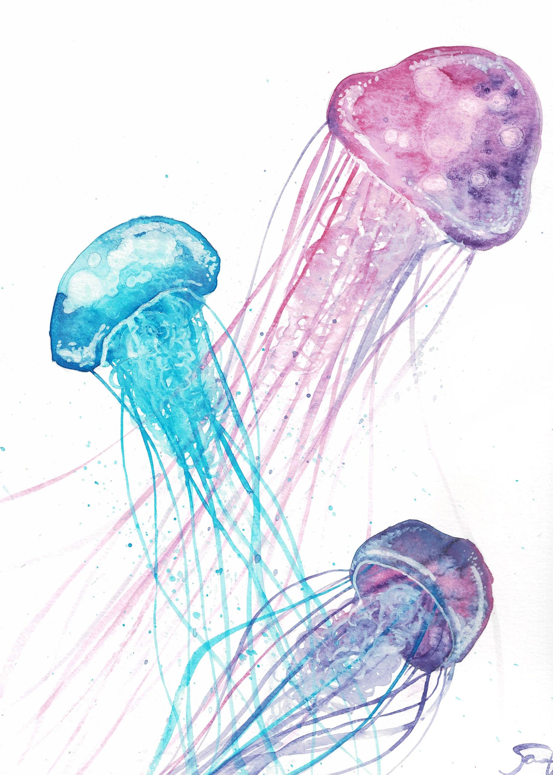 Watercolor painting of pink, purple, and blue jellyfish on a white background with tentacles running off the bottom of the paper